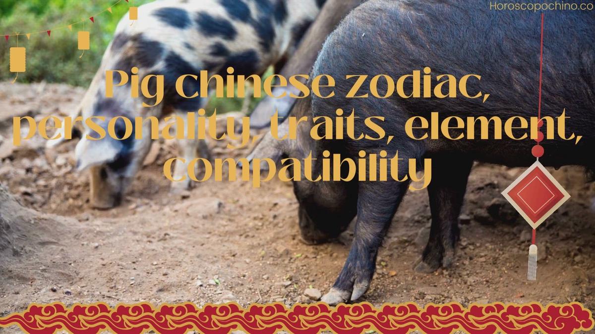Pig chinese zodiac, personality, traits, element, compatibility