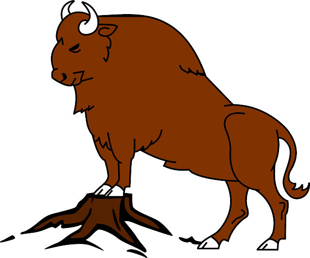 Buey-búfalo-bisonte-horóscopo-chino, zodiaco, astrologia