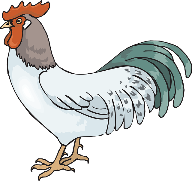 Gallo Horóscopo Chino