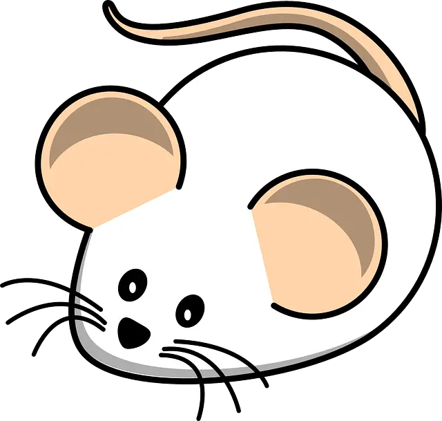 rata-ratón-horóscopo-chino, astrología china, zodiaco
