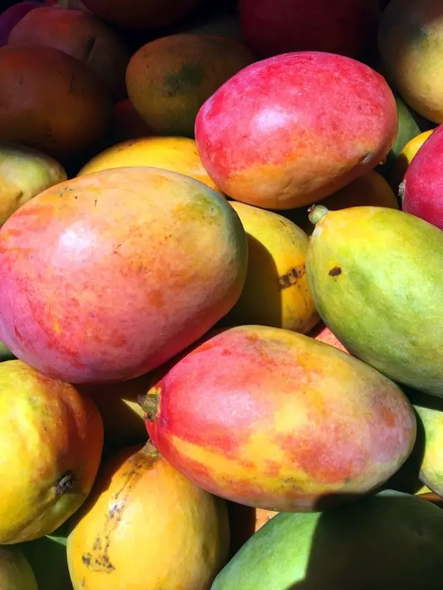 Sueño de comer mango: interpretación y significado