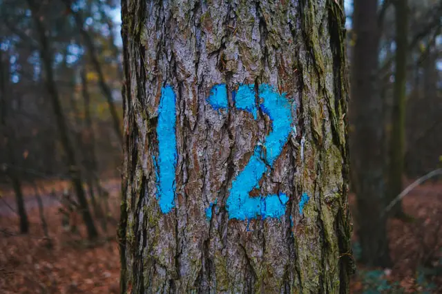 Ängla nummer 12, vilket betyder andligt, andligt, budskap