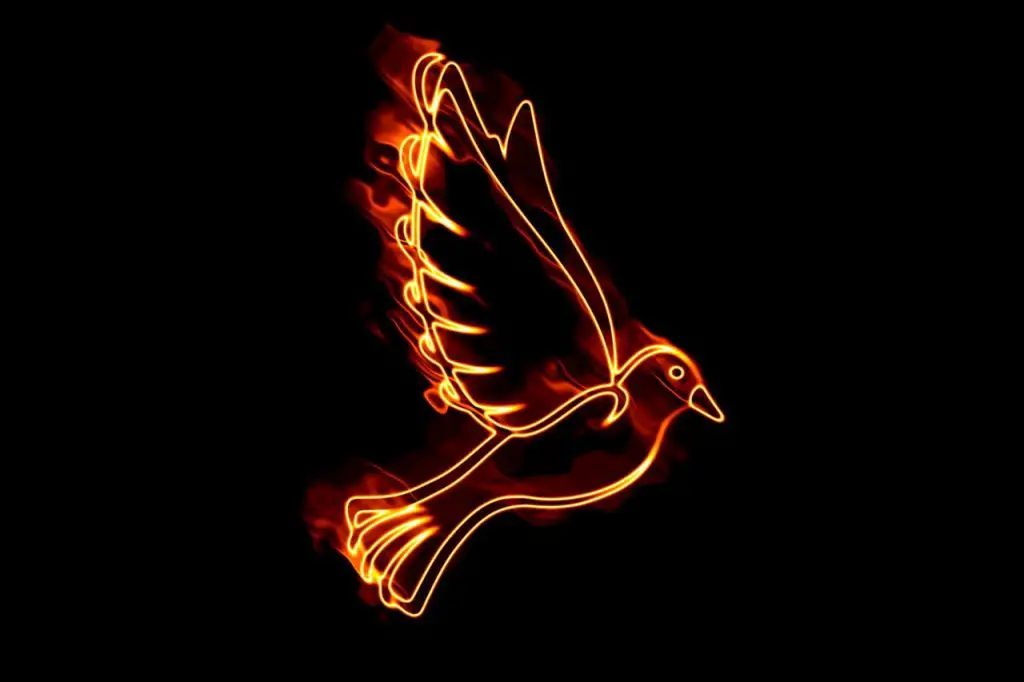 Signification de la colombe ardente: Dans la bible, symbole, sacrifice, christianisme, Illuminati
