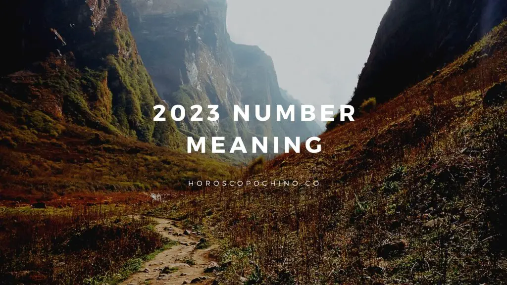 2023 数字含义：卑鄙、天使、圣经、爱、精神、结论