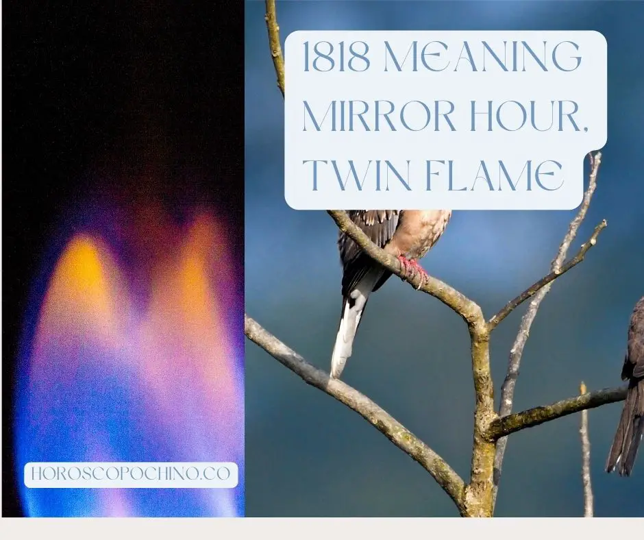 1818 meaning mirror hour, twin flame image