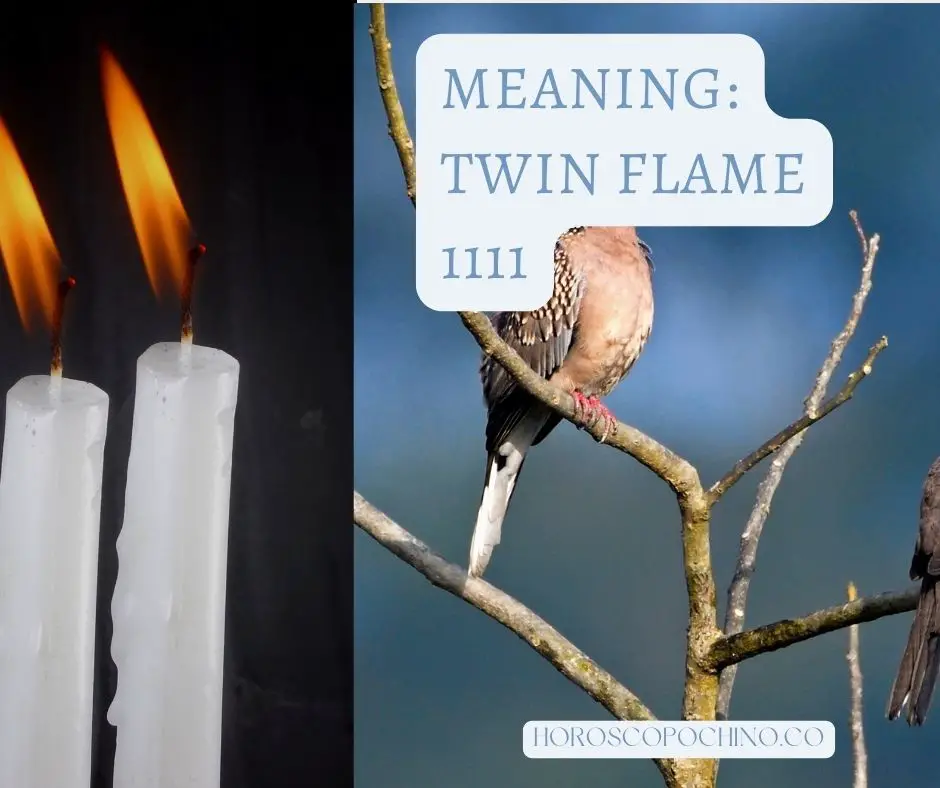 Meaning:Twin flame 1111