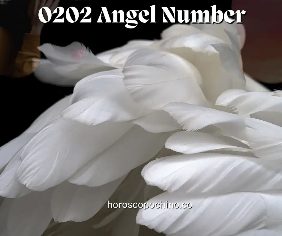 0202 Numero angelo: significato, fiamma gemella, innamorato, specchio, simbolismo, influenza segreta del numero 0202