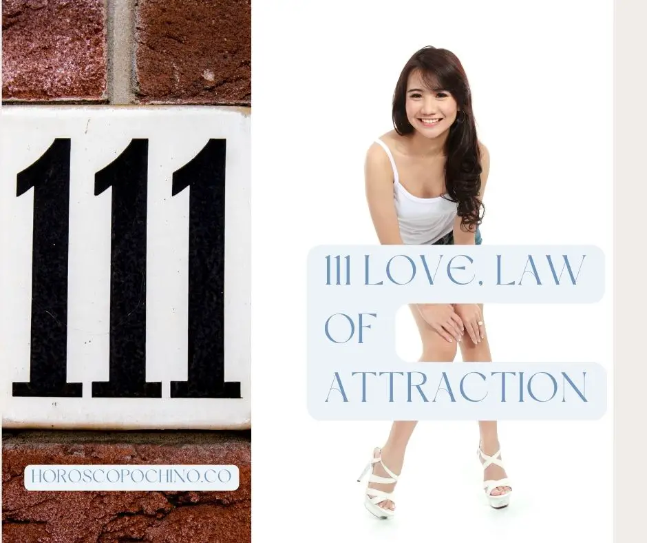 111 kjærlighet, lov om tiltrekning: kjærlighet, loven om tiltrekning