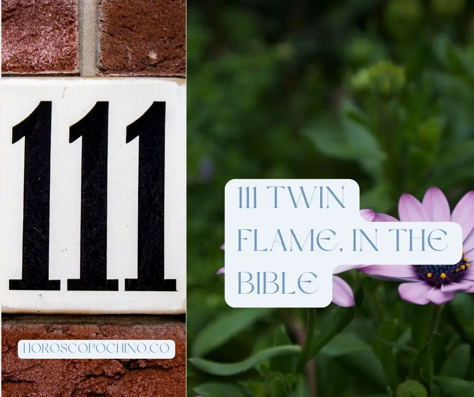 111 Zwillings flamme, in der Bibel: Zwillings flamme, in der Bibel