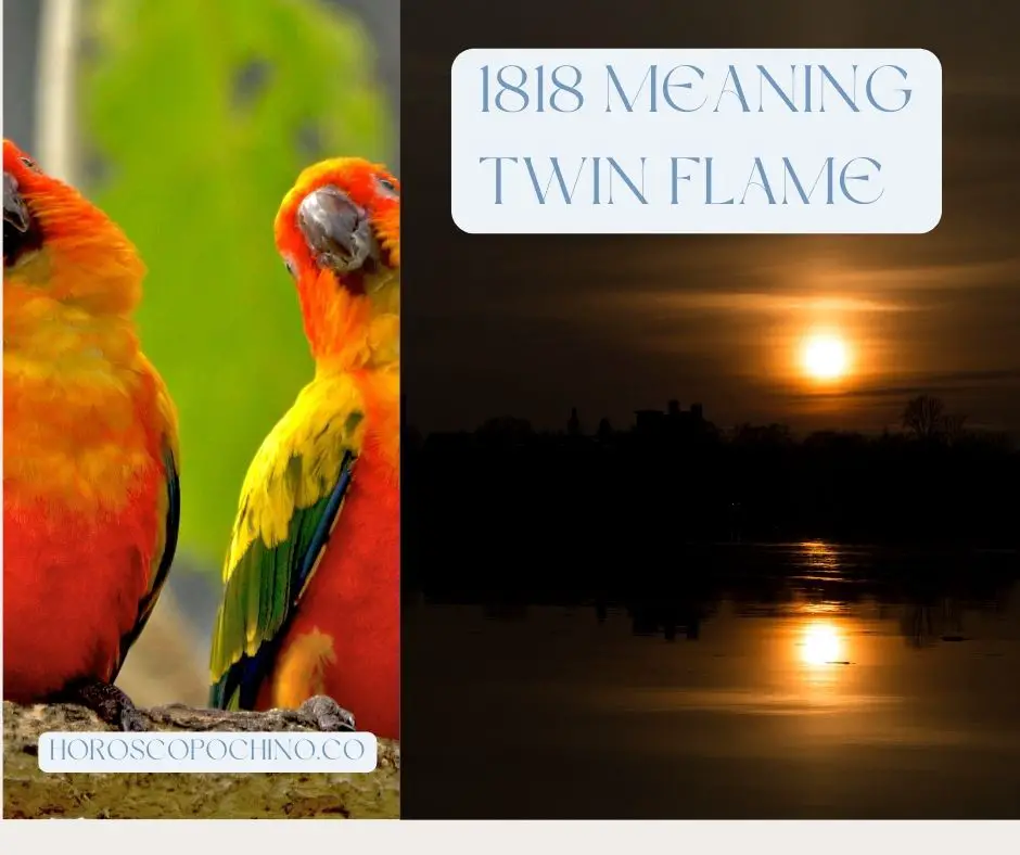 1818 meaning twin flame