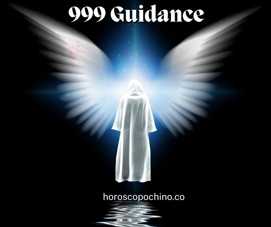 999 Guidance and Support