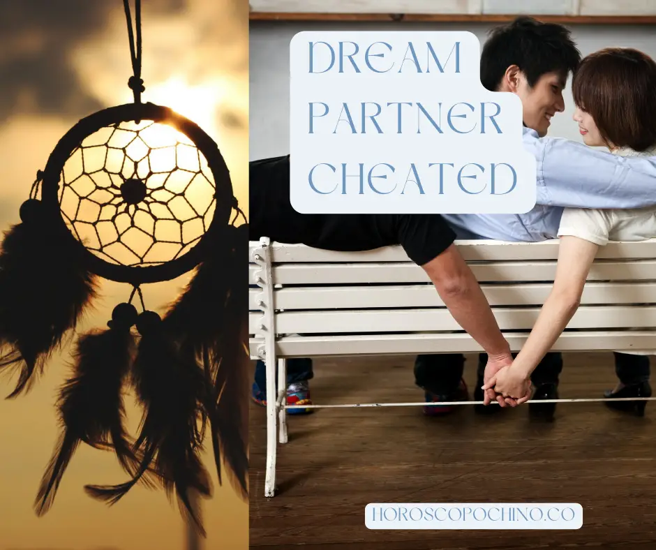 Dream Partner Cheated