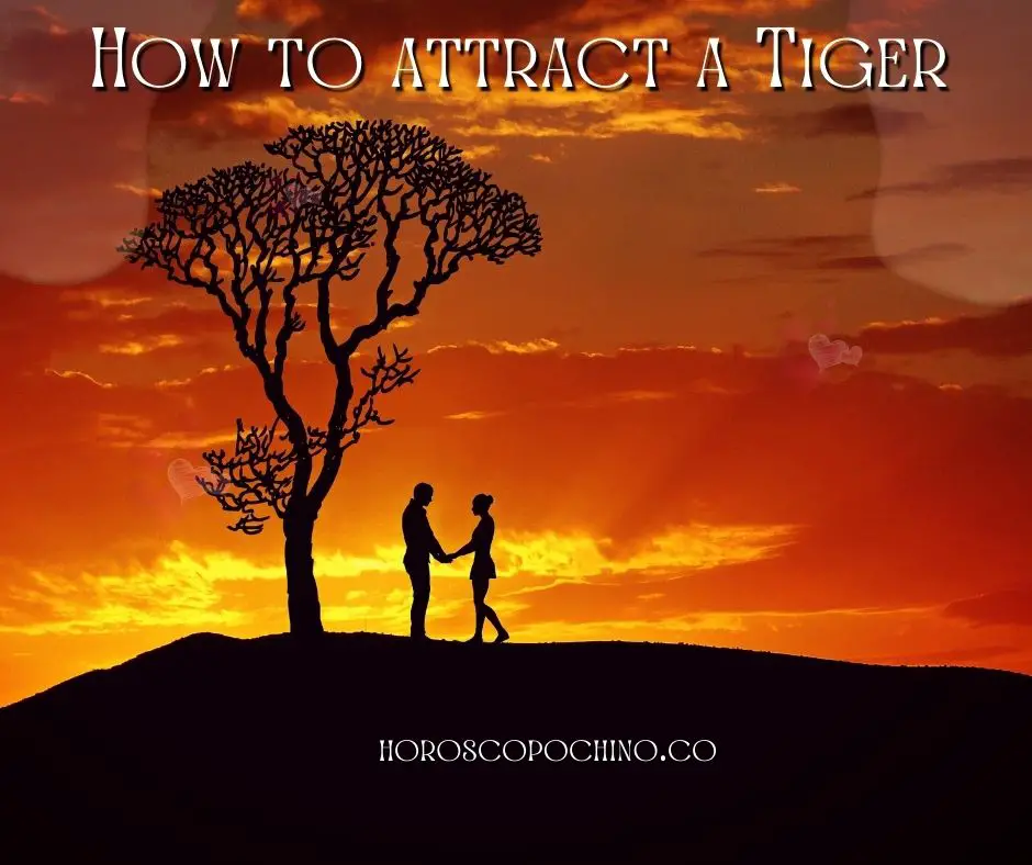 How to attract a tiger man, woman