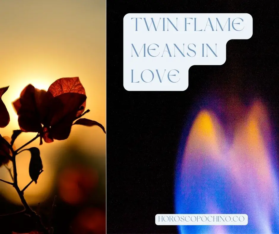 Twin flame means in love