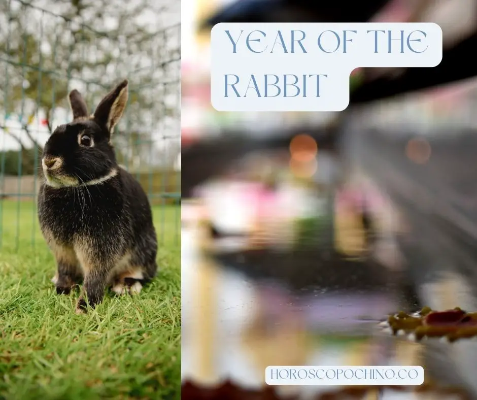 año del conejo, significado, personalidad