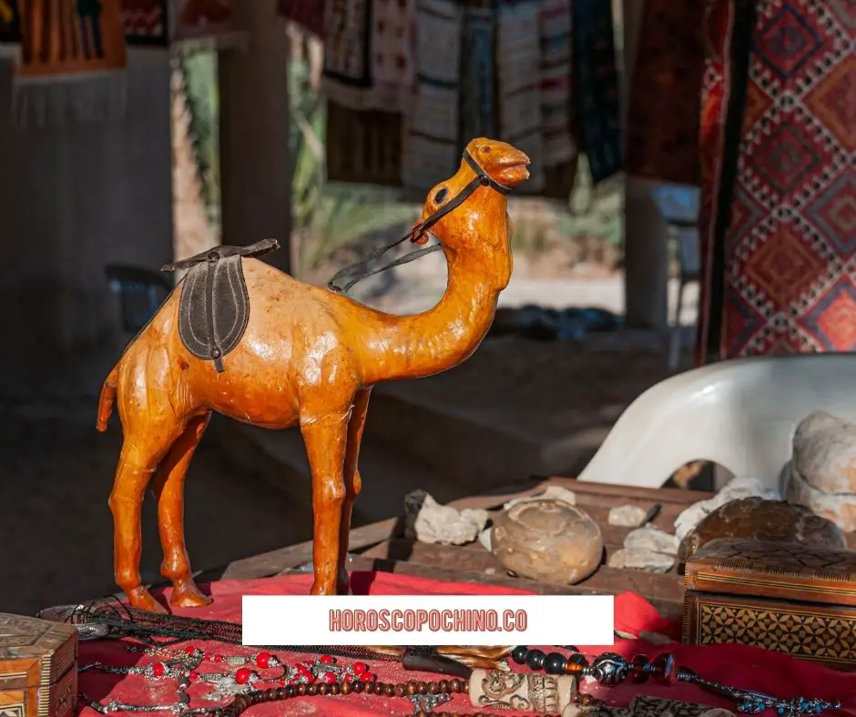 Feng Shui kameel, richting, plaatsing, betekenis