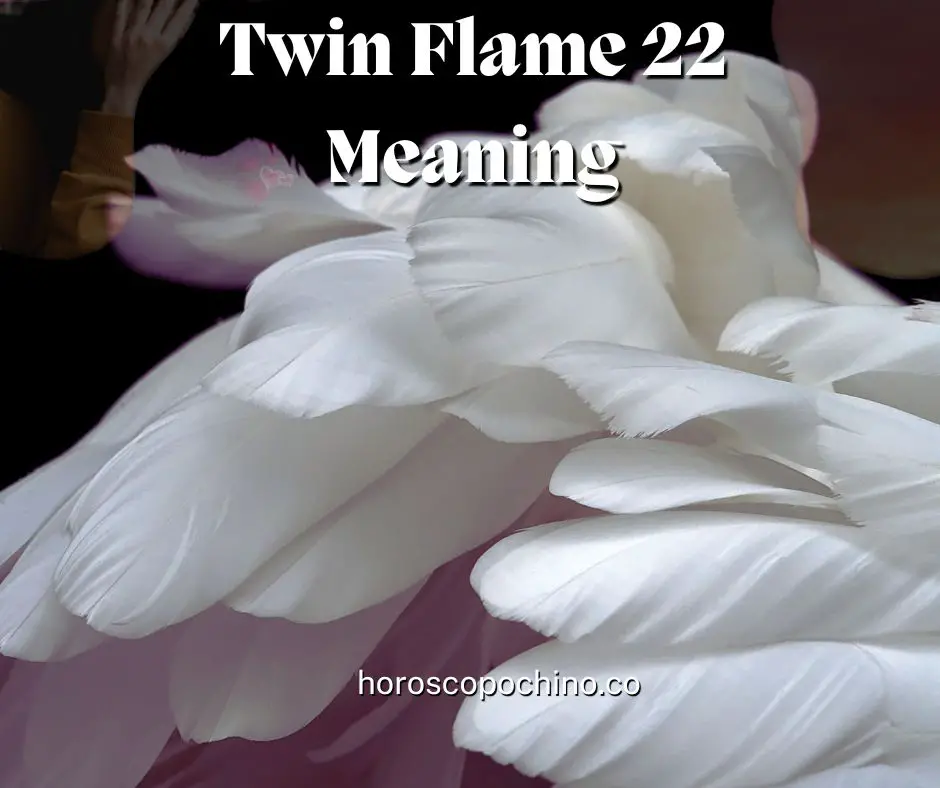 Tvilling flamme 22 Betydning