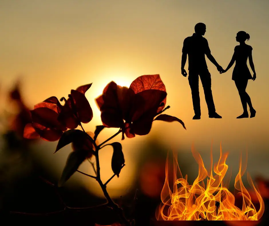 Twin flame and other relationships: find out the difference