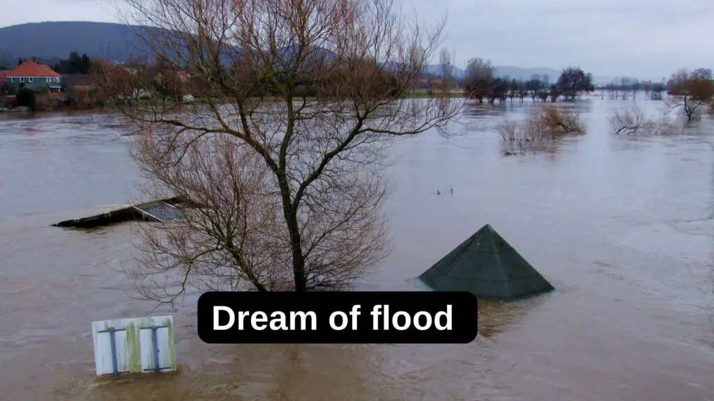 Rêve d’inondation, inondation