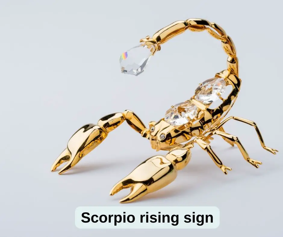 Skorpion aufsteigendes Zeichen